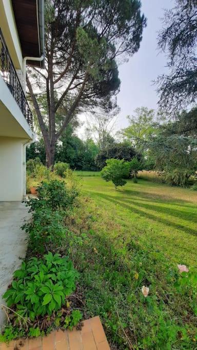 La Maison De Lili Colayrac-Saint-Cirq Экстерьер фото