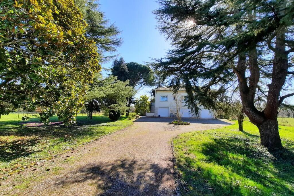 La Maison De Lili Colayrac-Saint-Cirq Экстерьер фото