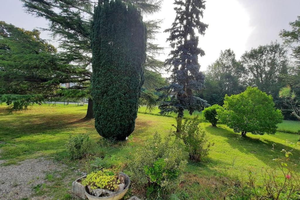 La Maison De Lili Colayrac-Saint-Cirq Экстерьер фото