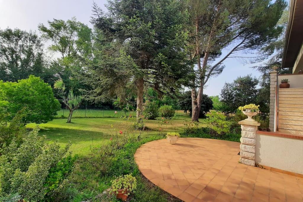 La Maison De Lili Colayrac-Saint-Cirq Экстерьер фото