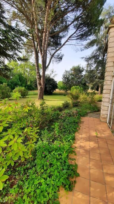 La Maison De Lili Colayrac-Saint-Cirq Экстерьер фото