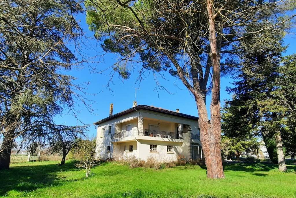 La Maison De Lili Colayrac-Saint-Cirq Экстерьер фото