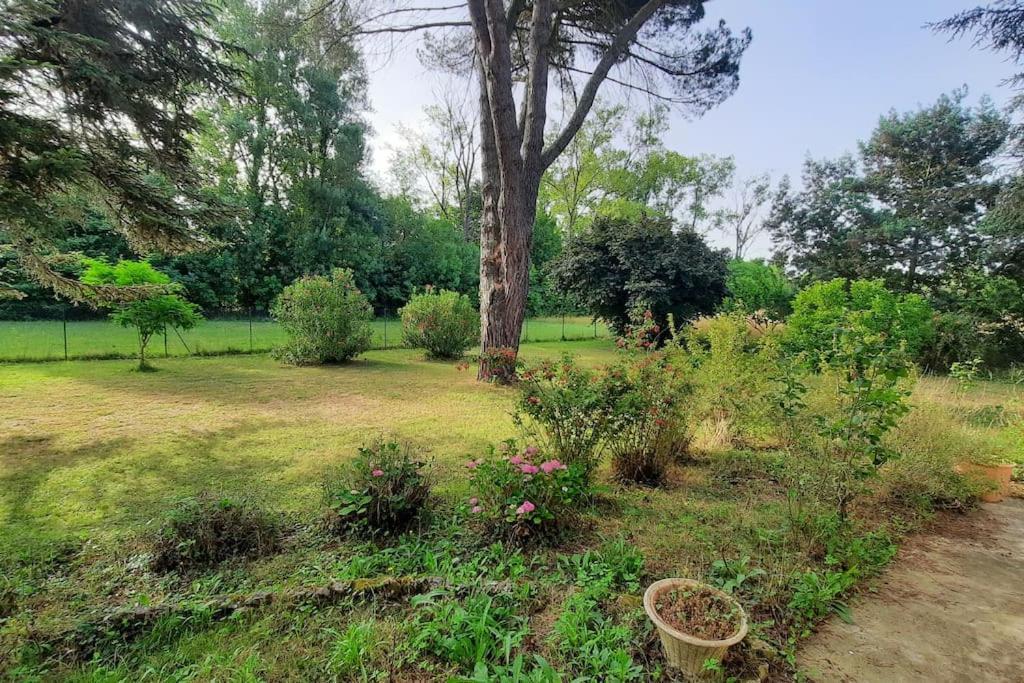 La Maison De Lili Colayrac-Saint-Cirq Экстерьер фото
