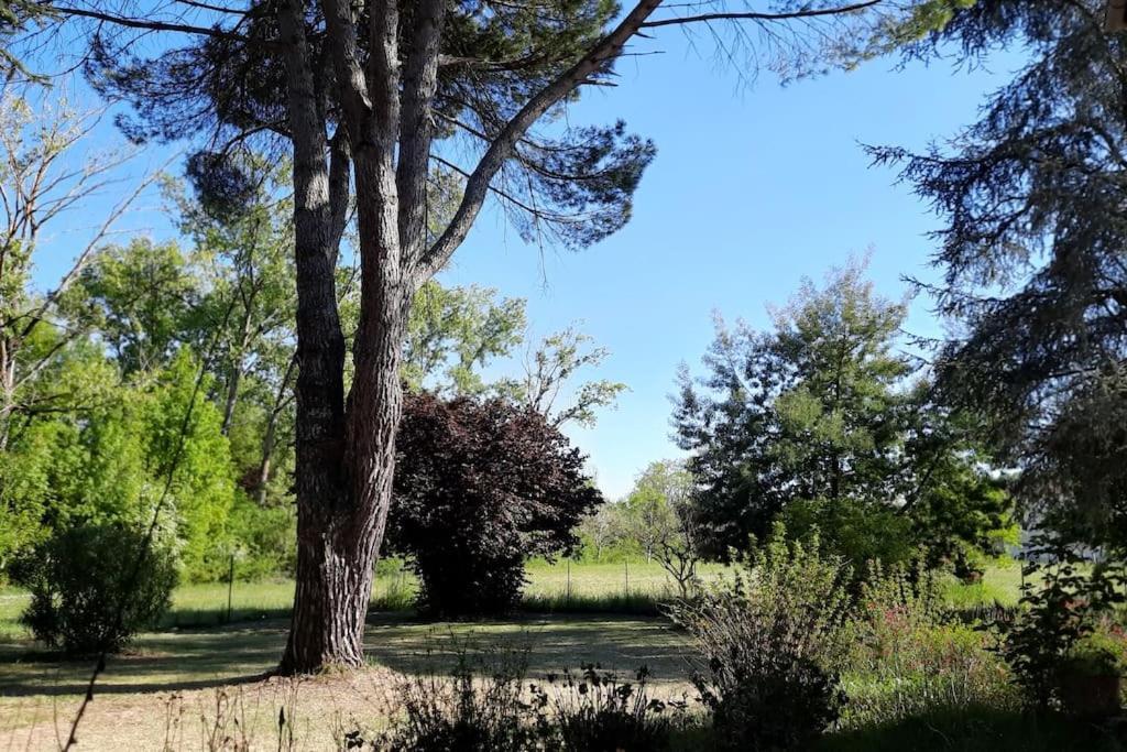 La Maison De Lili Colayrac-Saint-Cirq Экстерьер фото